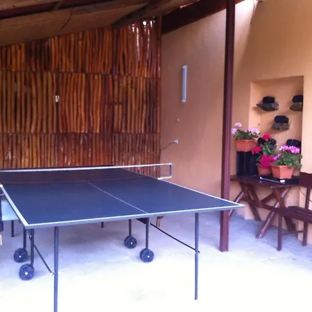 Casa Floare De Colt * Cîrţişoara