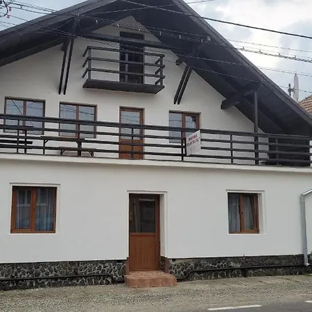 Pensjonat Casa Floare De Colt *