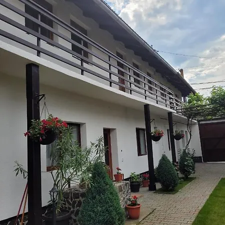 Pensjonat Casa Floare De Colt Cîrţişoara