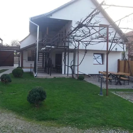 Pensjonat Casa Floare De Colt Cîrţişoara