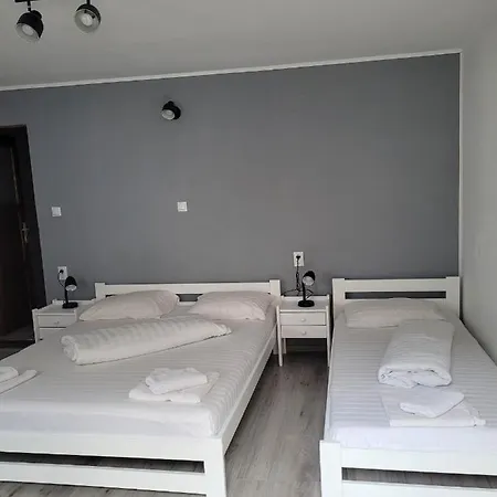 Pensjonat Casa Floare De Colt Cîrţişoara