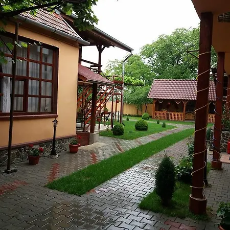 Casa Floare De Colt Cîrţişoara
