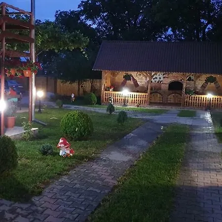 Casa Floare De Colt Cîrţişoara
